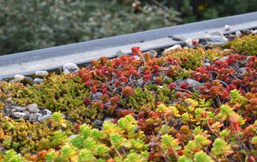 the cost of Glascwm green roof installation